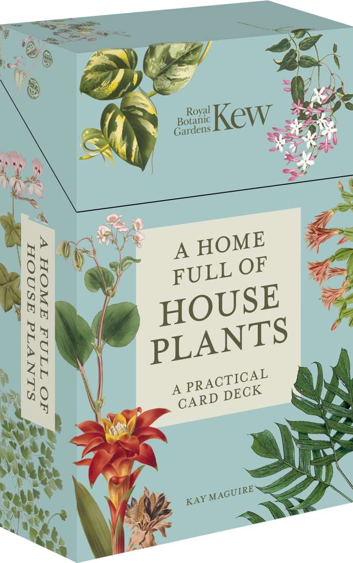 A Home Full Of House Plants