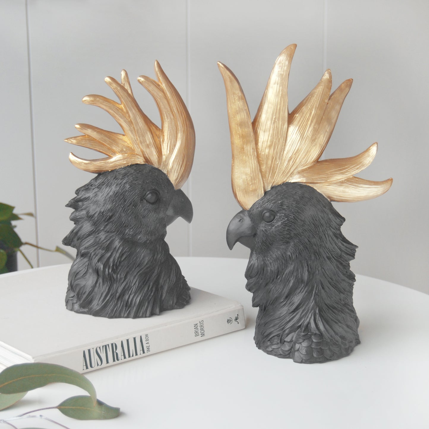 Crested Cockatoo Set | Black + Gold