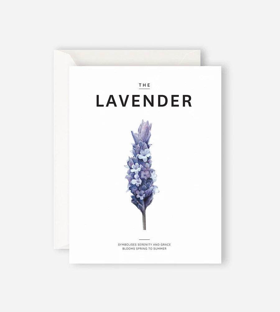 The Lavender