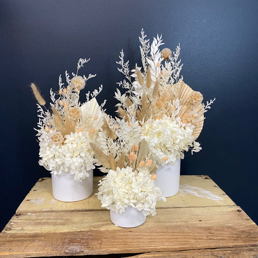 All sizes for comparison