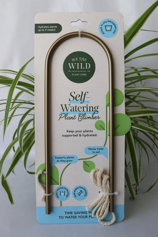 Self-Watering Plant Climber