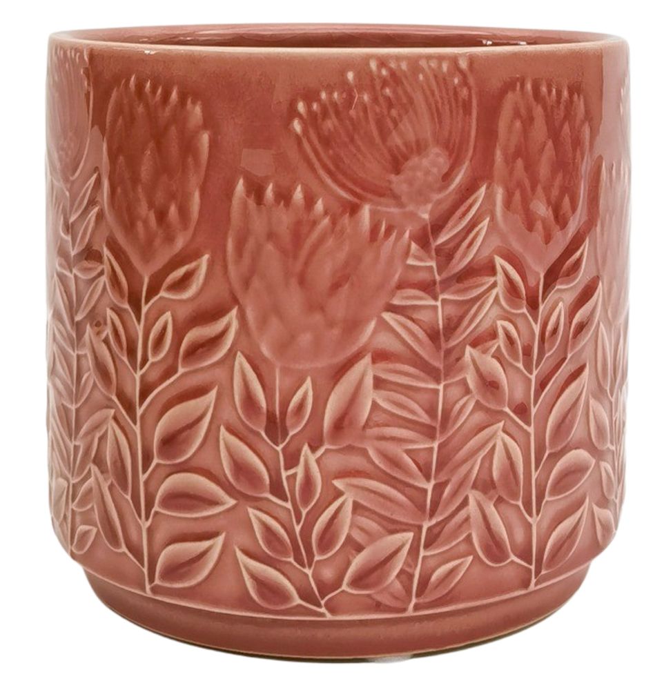 Protea Planter | Pink