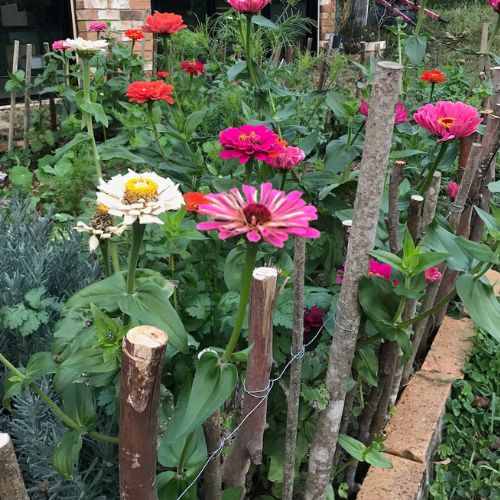 Gift of Seeds | Secret Garden