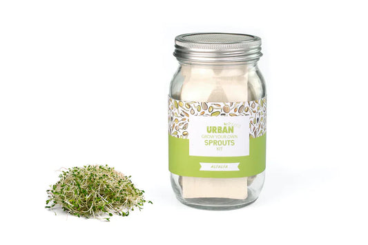 Urban Greens Sprout Jar Kit
