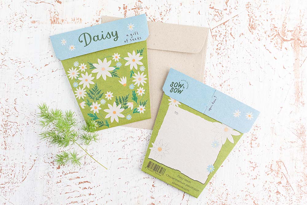 Daisy Gift of Seeds