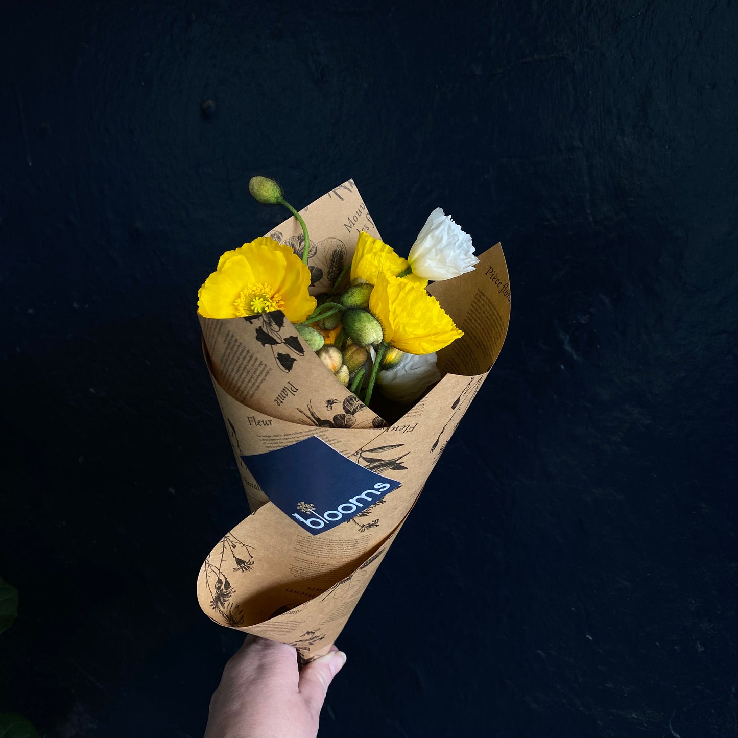 Market Bunch | Poppies
