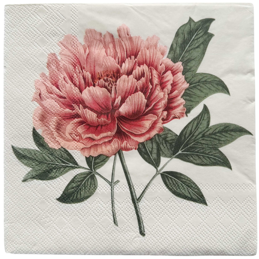 Vintage Flower Napkins