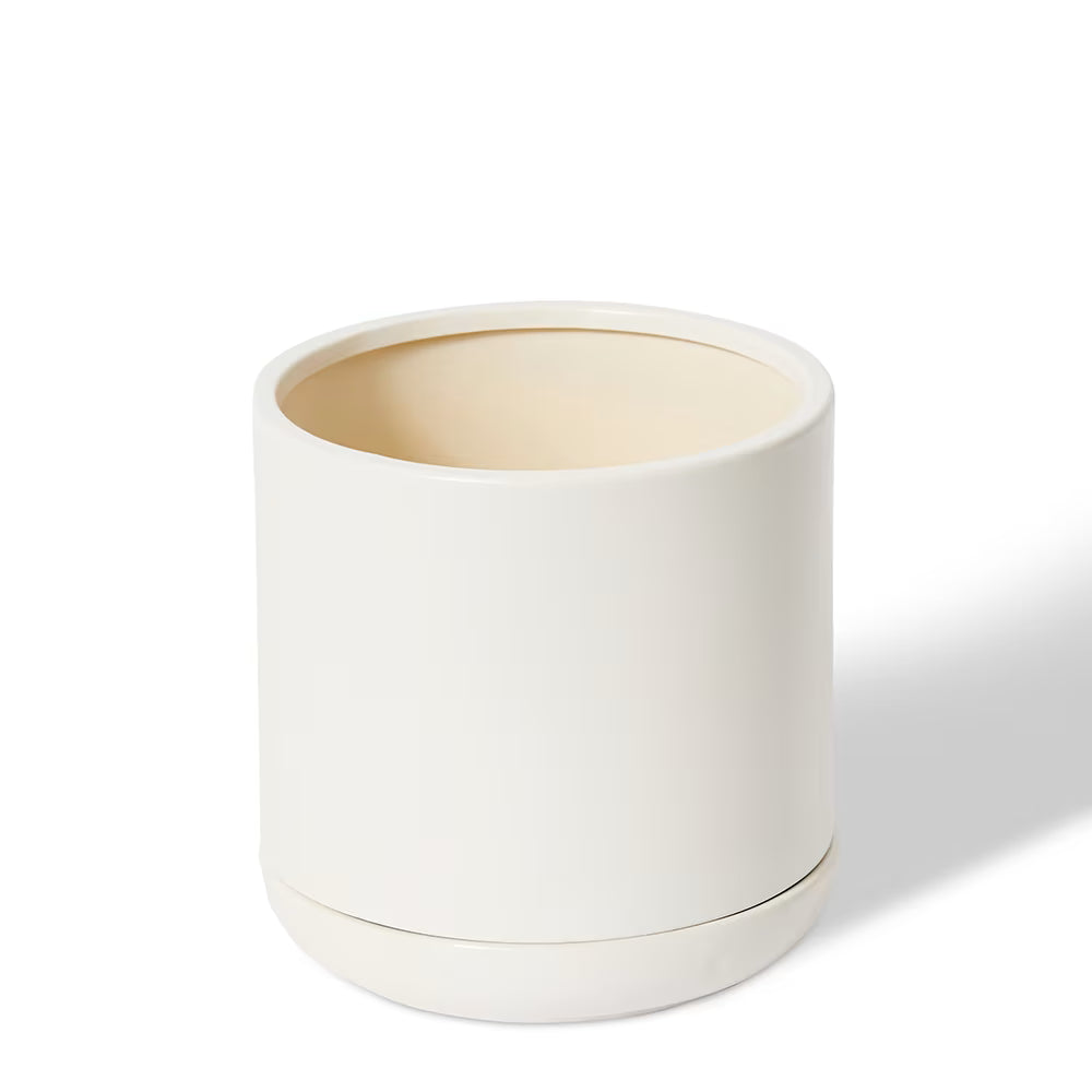 Angu Planter with Tray
