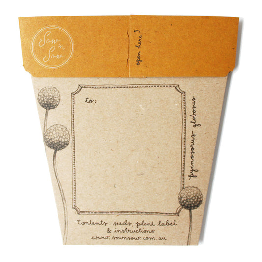 Billy Buttons Gift of Seeds