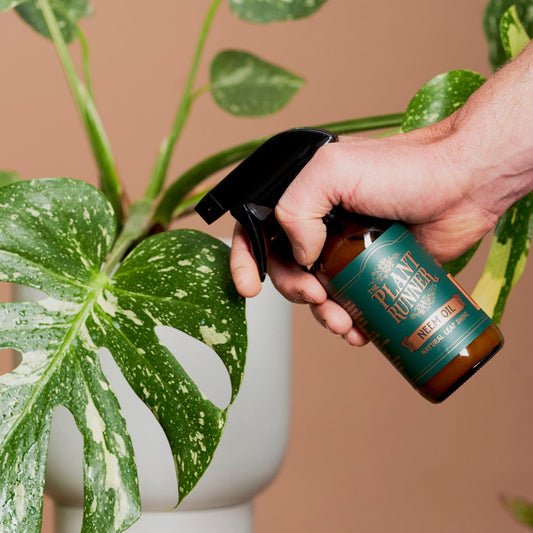 The Plant Runner Neem Oil