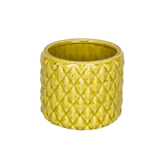Sunny Pineapple Pot