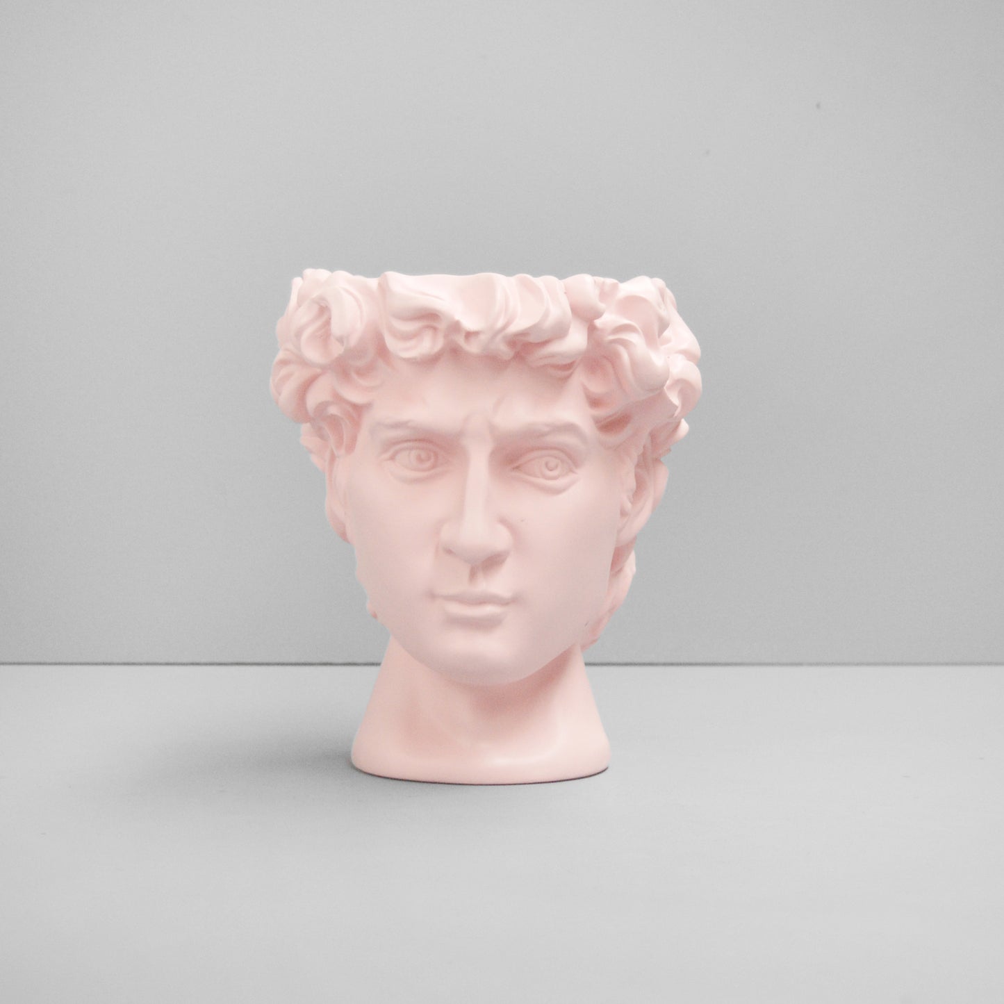 David Vase/Plant Holder