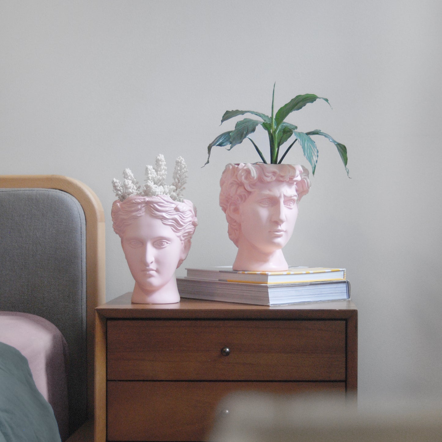 Venus Vase/Plant Holder