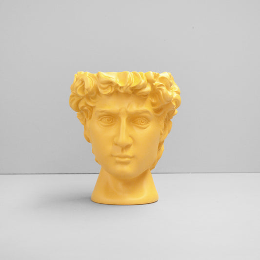 David Vase/Plant Holder