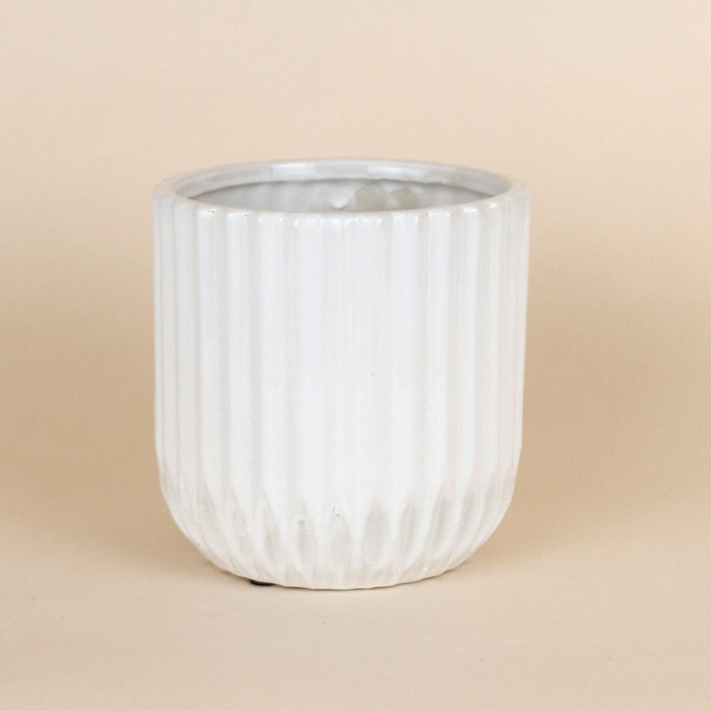 White Lined Pot