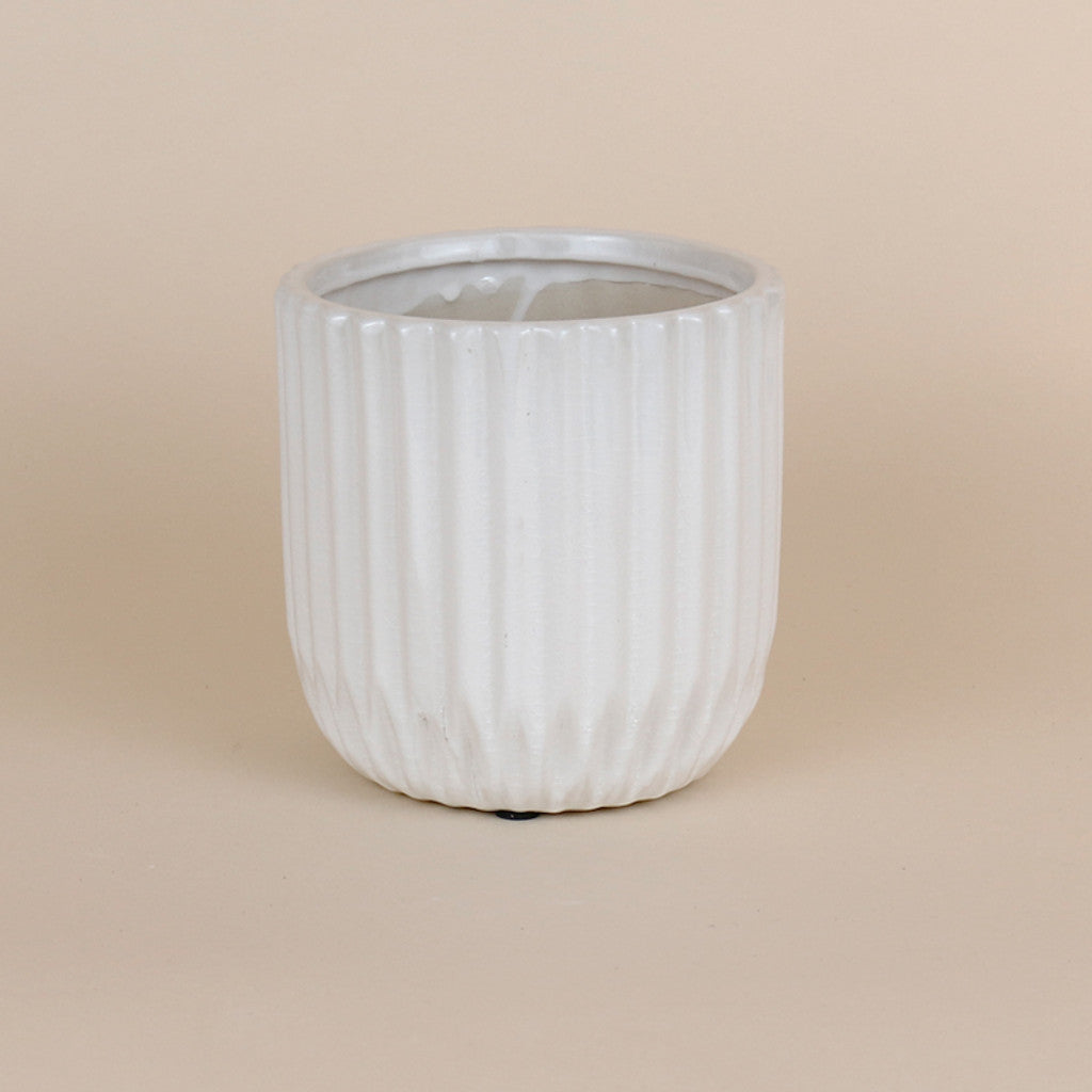 White Lined Pot