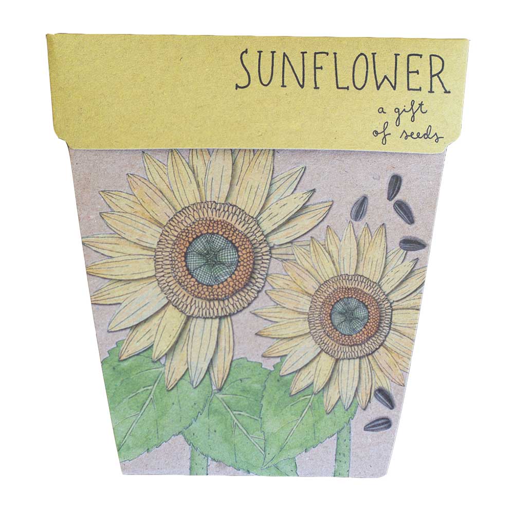 Sunflower Gift of Seeds
