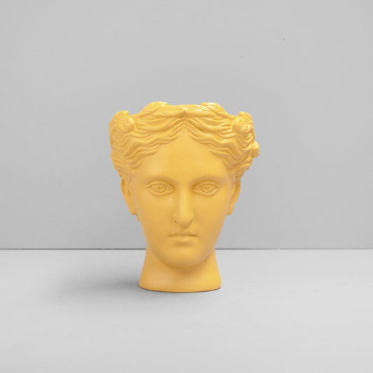 Venus Vase/Plant Holder