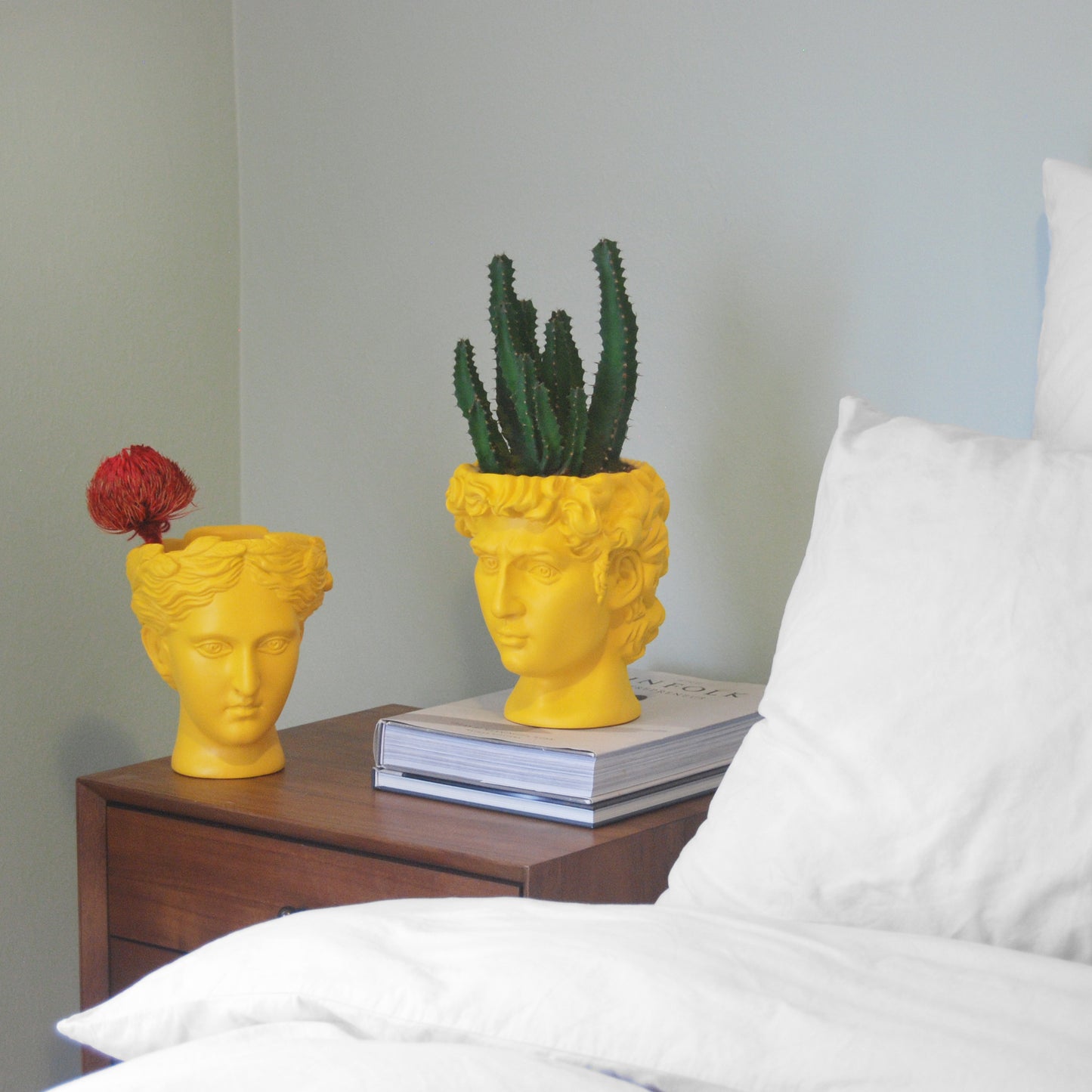 Venus Vase/Plant Holder