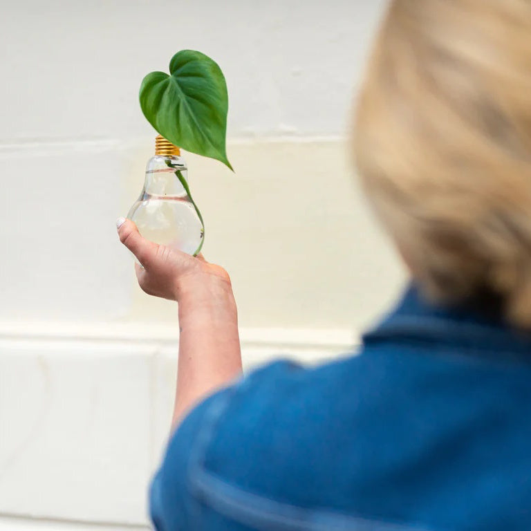 Be The Light Leafy Bulb