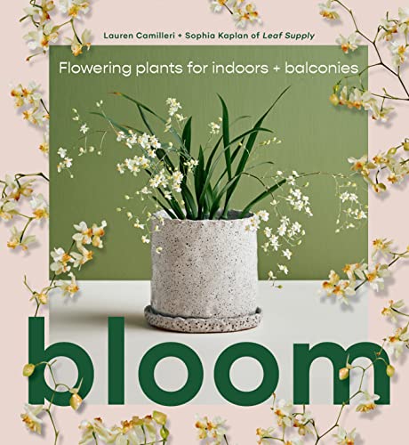Bloom: Flowering Plants For Indoors And Balconies