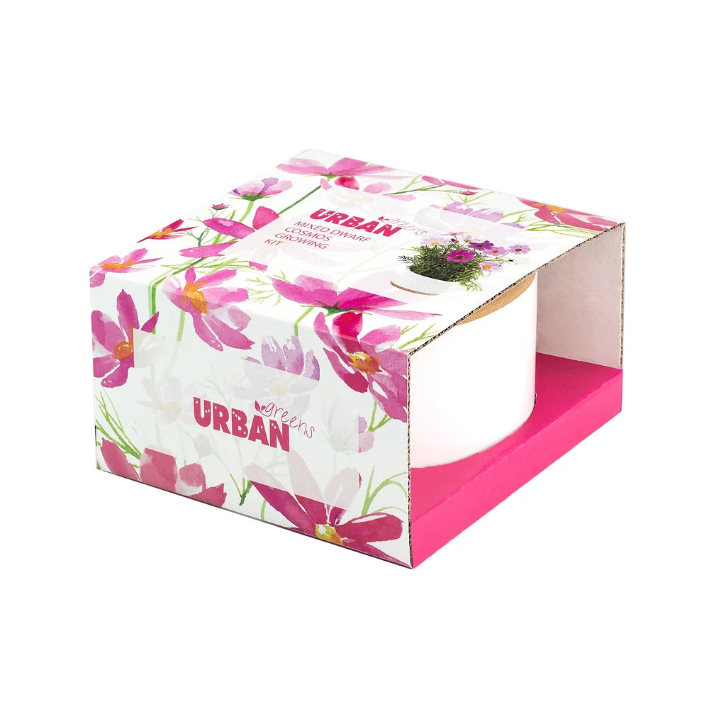 Mixed Dwarf Cosmos Growing Kit