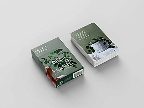 Leaf Supply Deck Of Plants