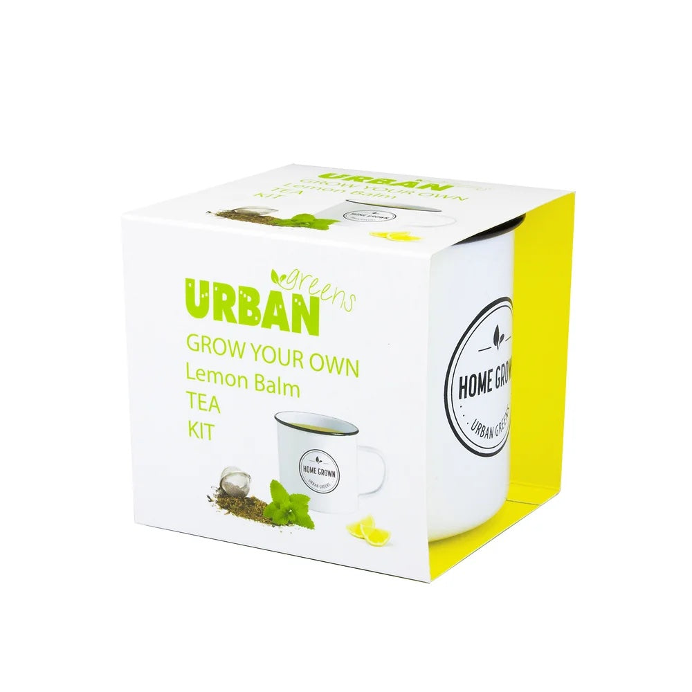 Grow Your Own Tea Kit