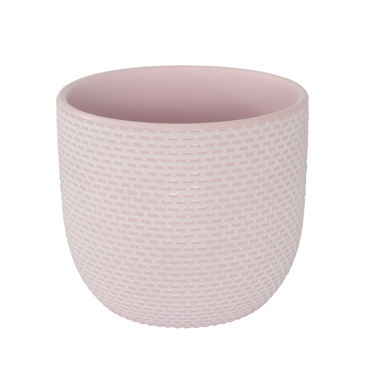 Daisy Planter | Orchid