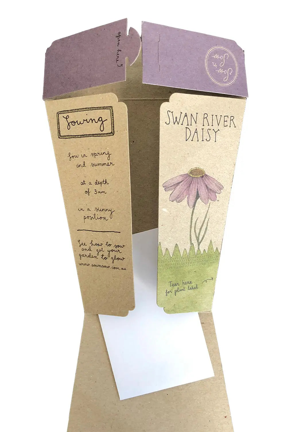 Swan River Daisy Gift of Seeds