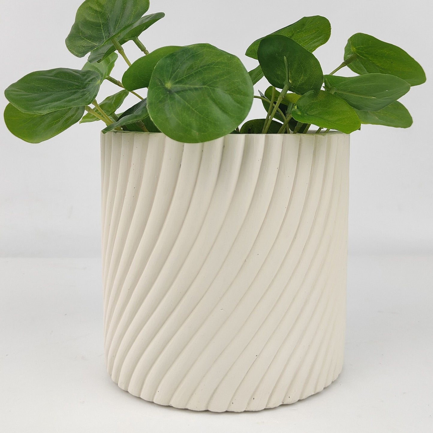 Eliza Planter