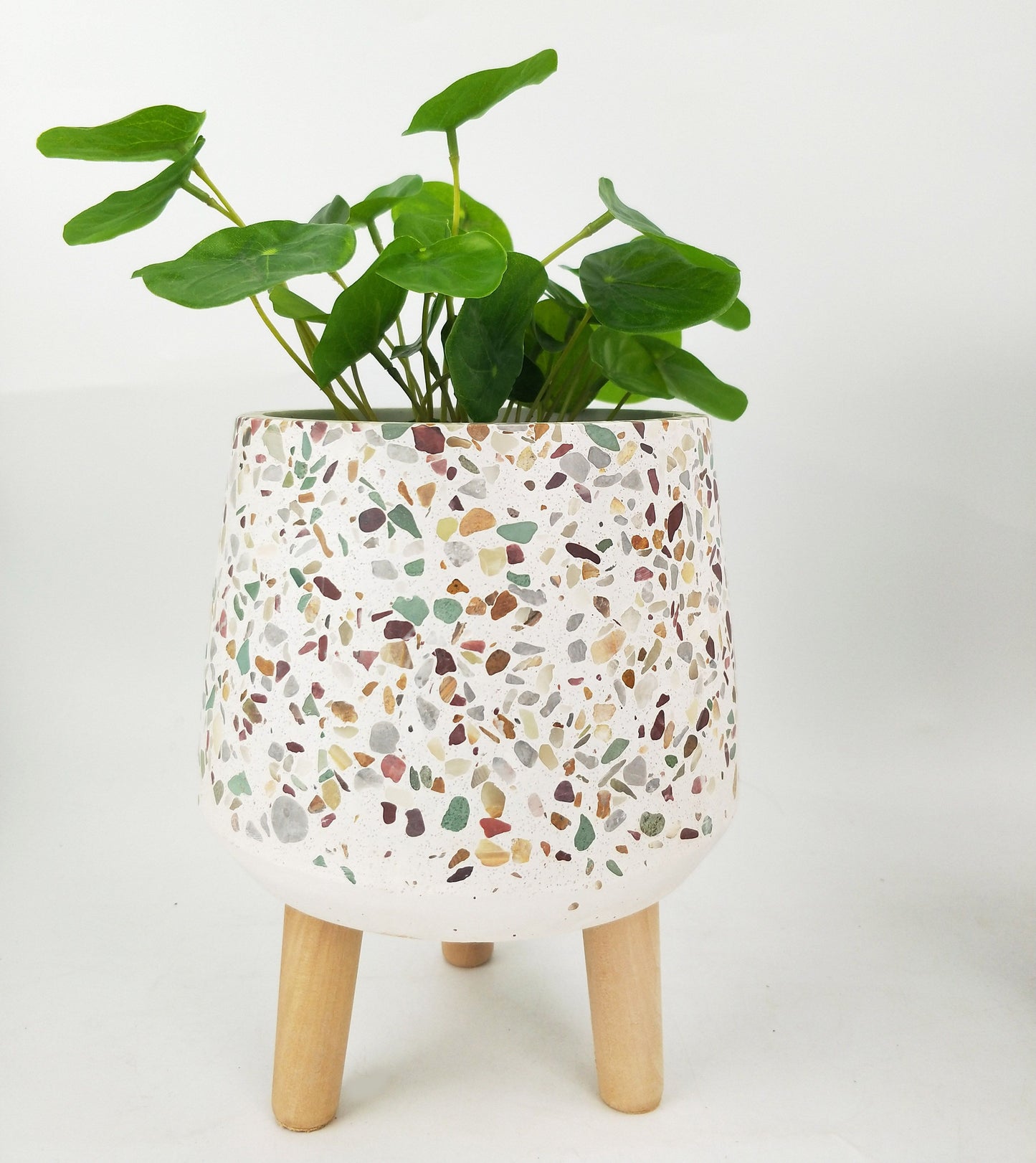 Terrazzo Planter with legs