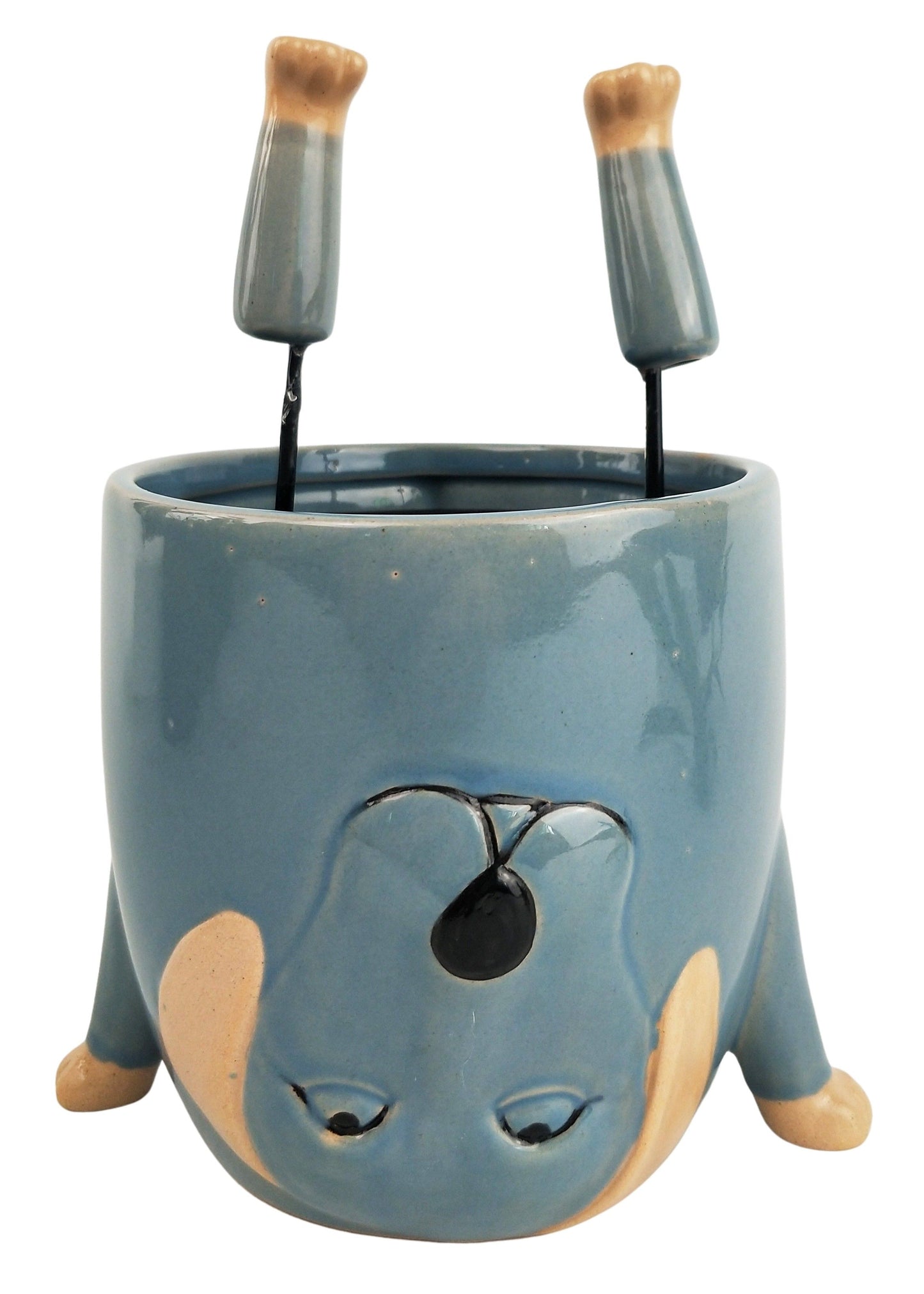Dog Doing Handstand Planter