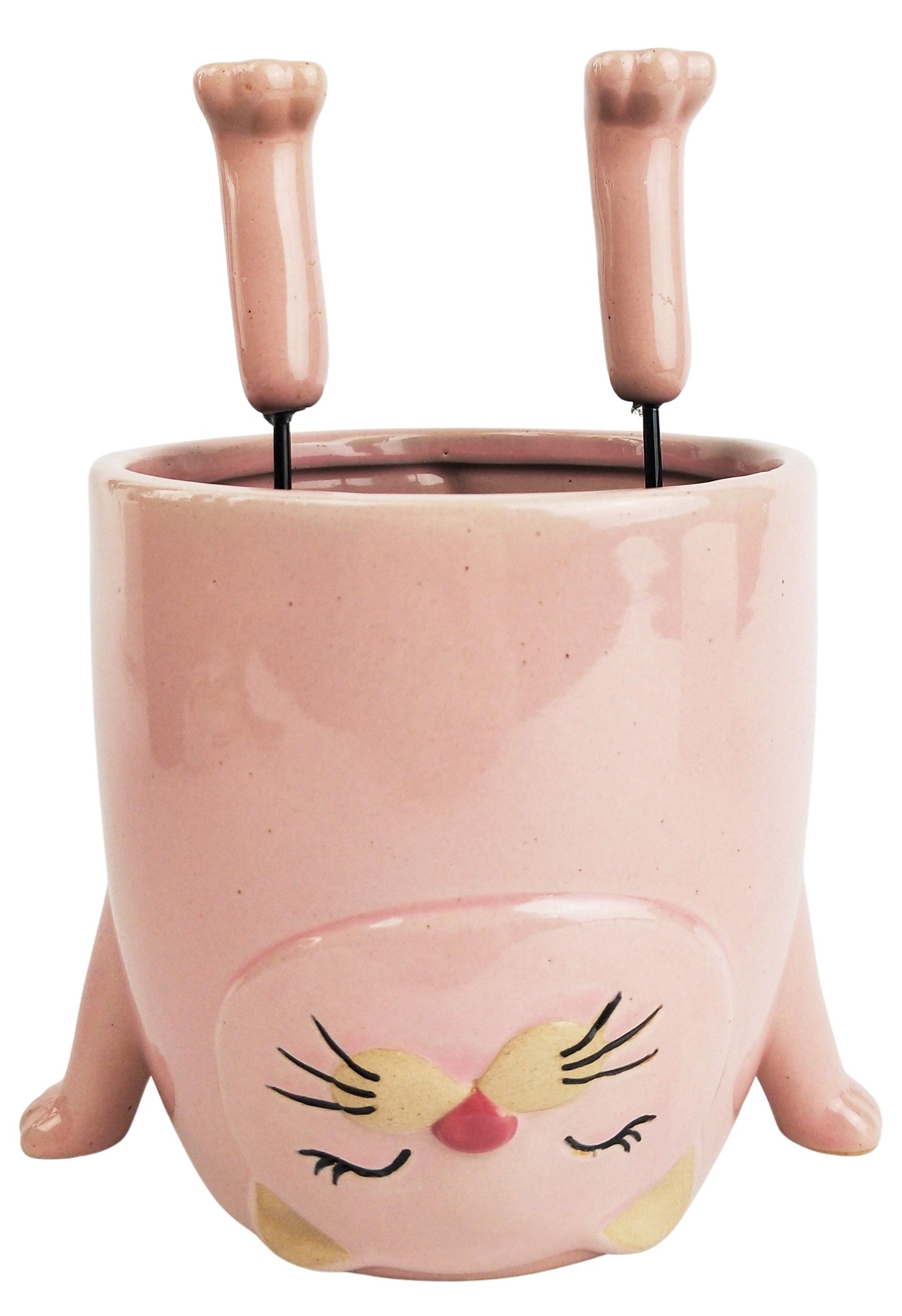 Cat Doing Handstand Planter