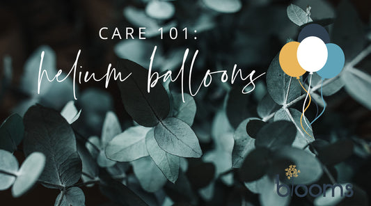 Helium Balloon Use and Care Guidelines