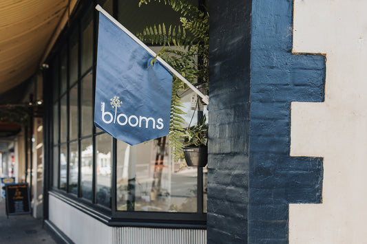 Who is Main St Blooms?
