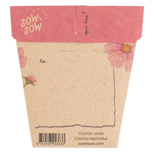 Gift of Seeds | Blooming Beautiful