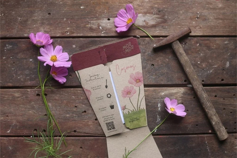 Gift of Seeds | Blooming Beautiful