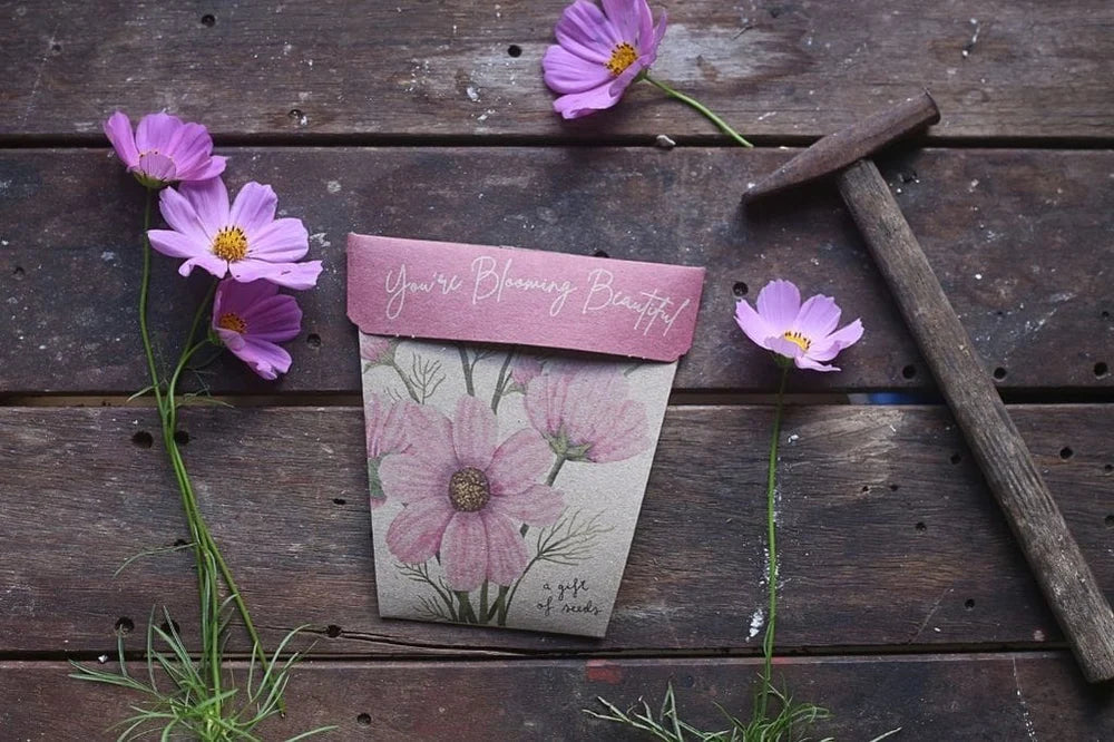Gift of Seeds | Blooming Beautiful