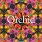 The Orchid