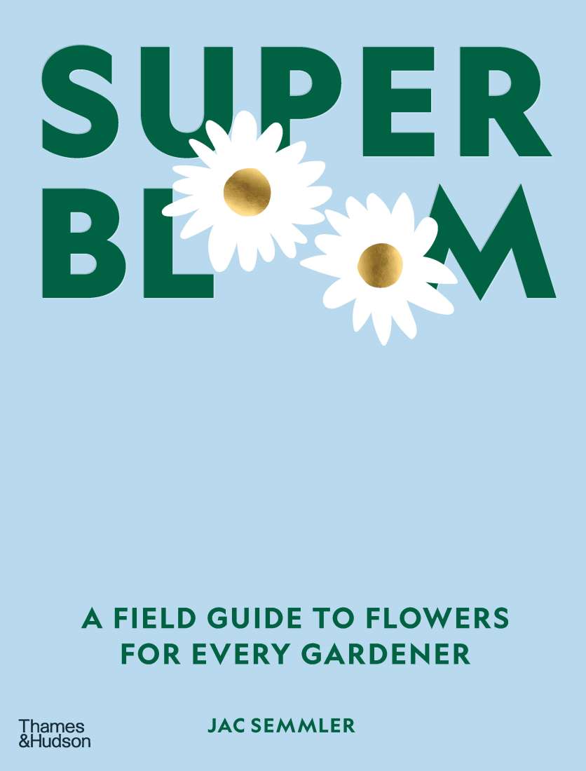 Super Bloom