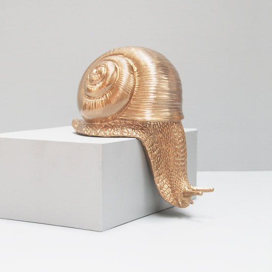 Shelf Snail | Gold