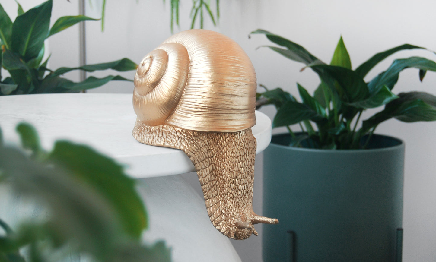 Shelf Snail | Gold