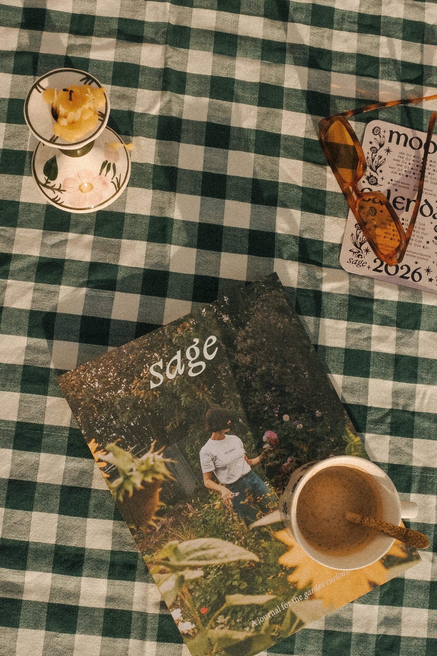 sage | A journal for the garden curious