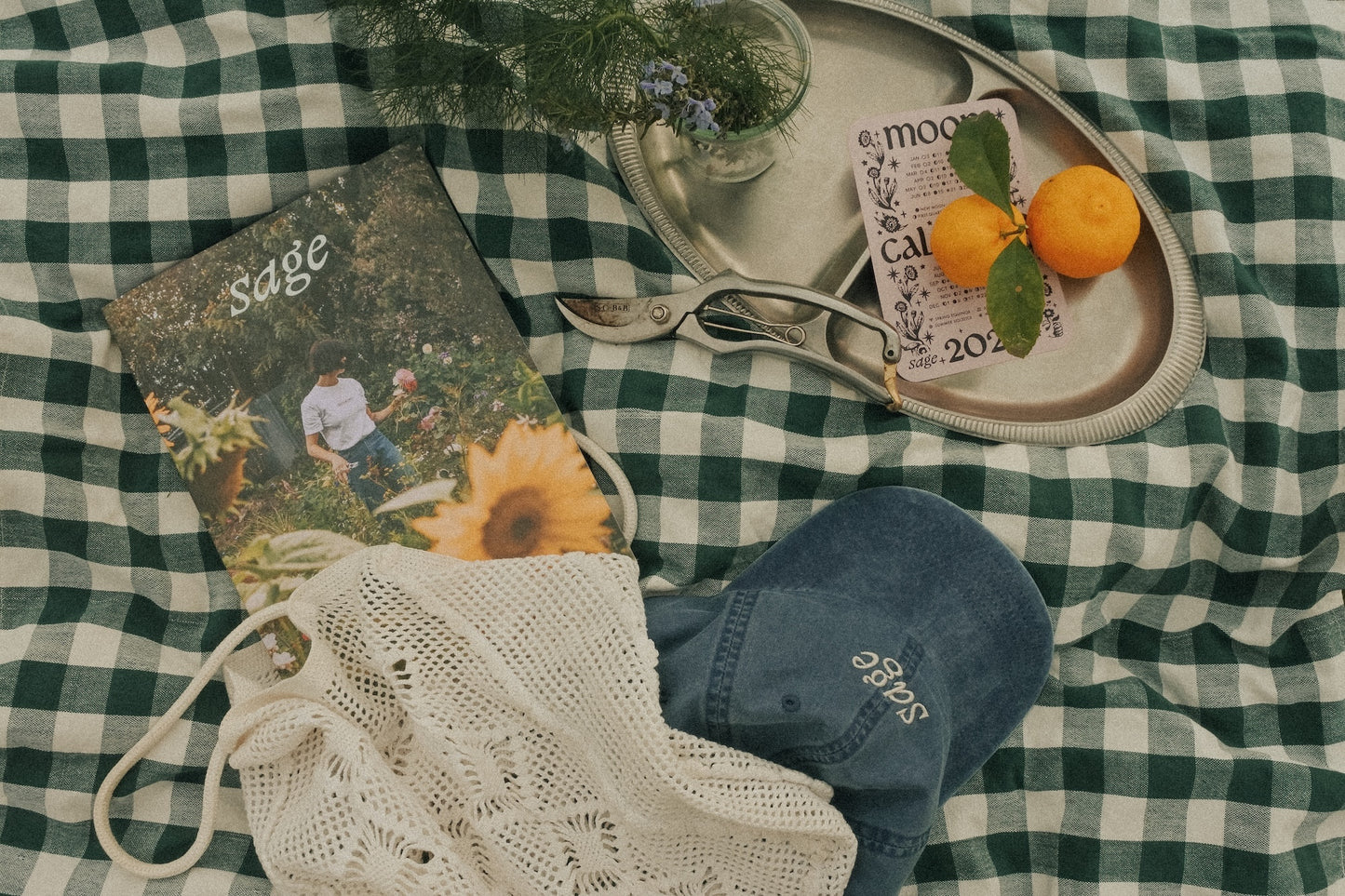 sage | A journal for the garden curious