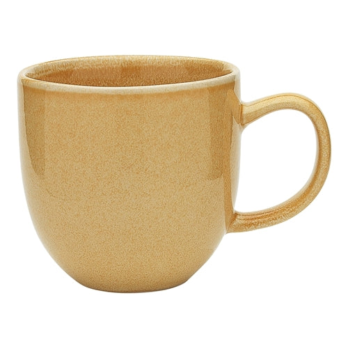 Ecology Dwell Mug