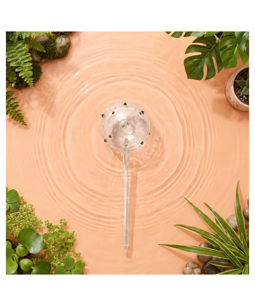 Self-Watering Plant Globes
