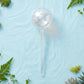 Self-Watering Plant Globes