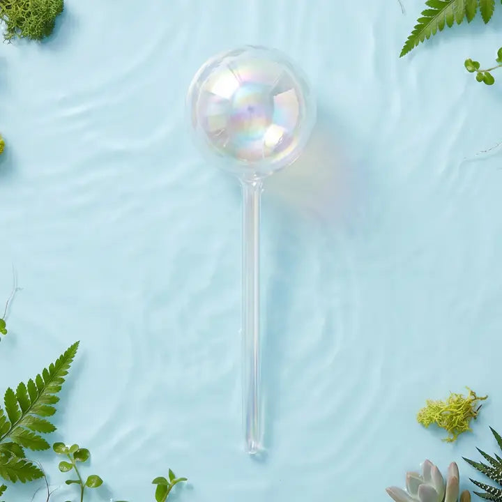 Self-Watering Plant Globes