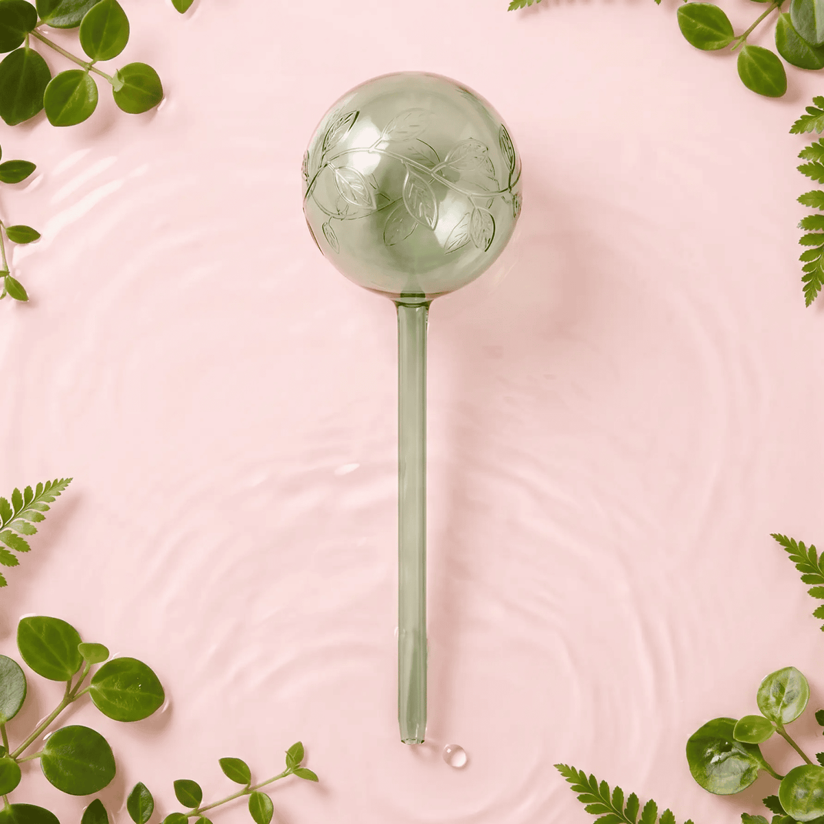 Self-Watering Plant Globes